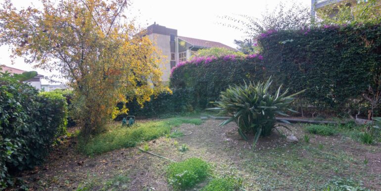 20260109102849-1014465-6