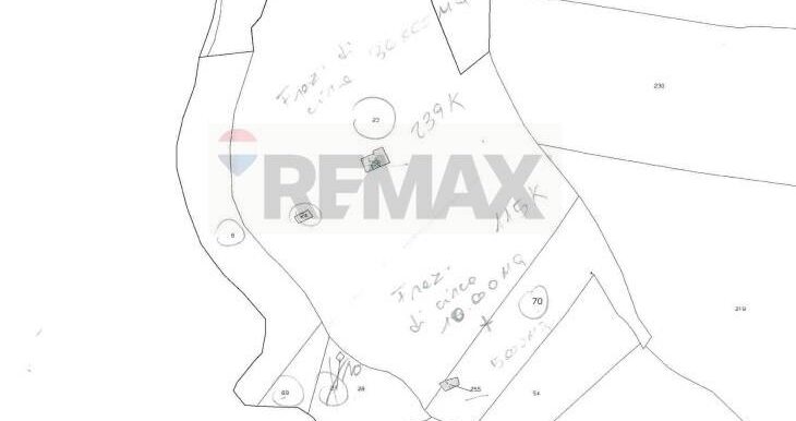 20260109113111-1011587-11