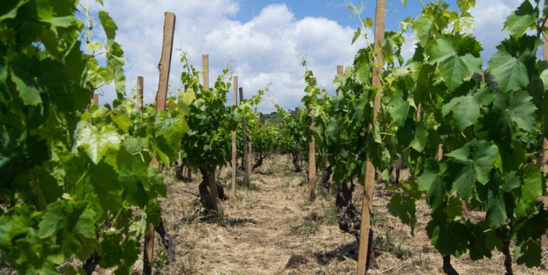 20260109113331-1012621-26