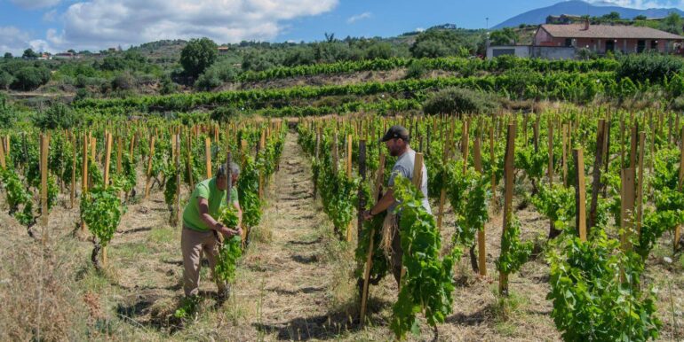 20260109113334-1012621-27