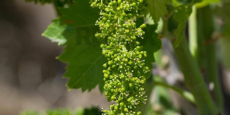 20260109113337-1012621-28