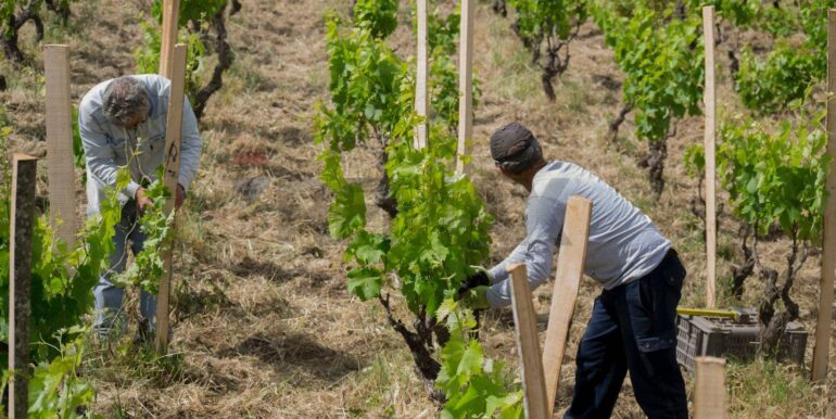 20260109113340-1012621-29