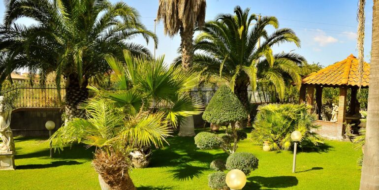 20260109115539-1014575-1