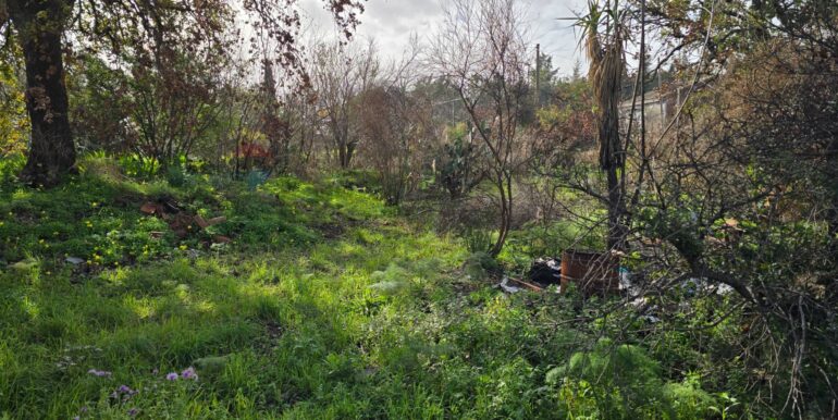 20260109173347-1002131-7