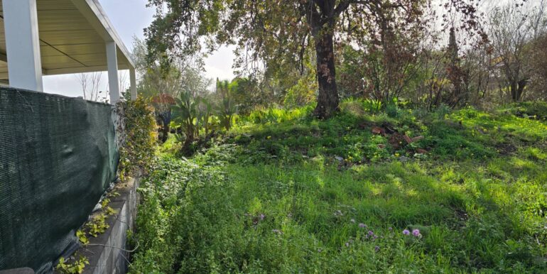 20260109173352-1002131-8