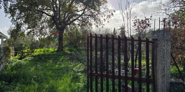 20260109173356-1002131-9