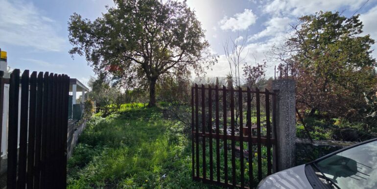 20260109173401-1002131-10