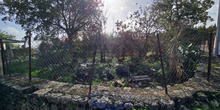 20260109173406-1002131-11