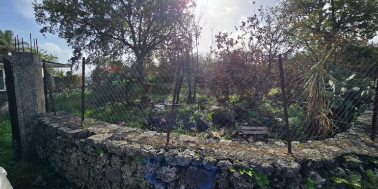 20260109173409-1002131-12