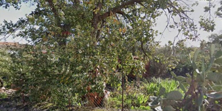 20260109173438-1002131-20