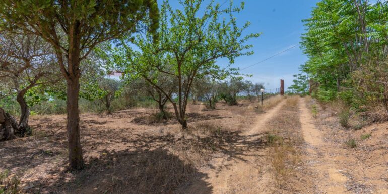 20260109182114-1015968-3