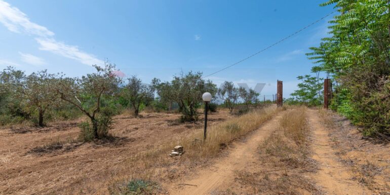 20260109182115-1015968-4