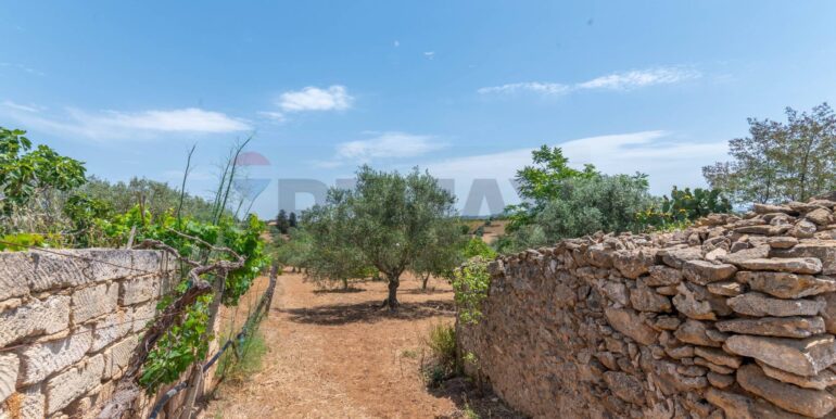 20260109182119-1015968-20