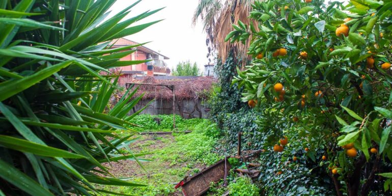 20260109230624-1013892-7