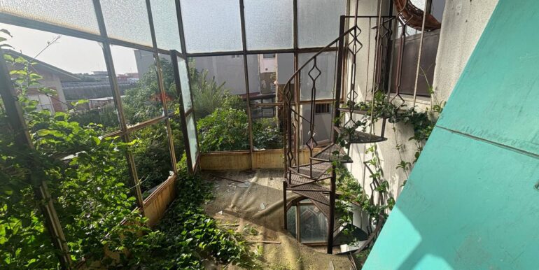 2026010984153-1014445-5