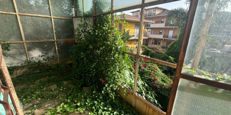 2026010984156-1014445-12