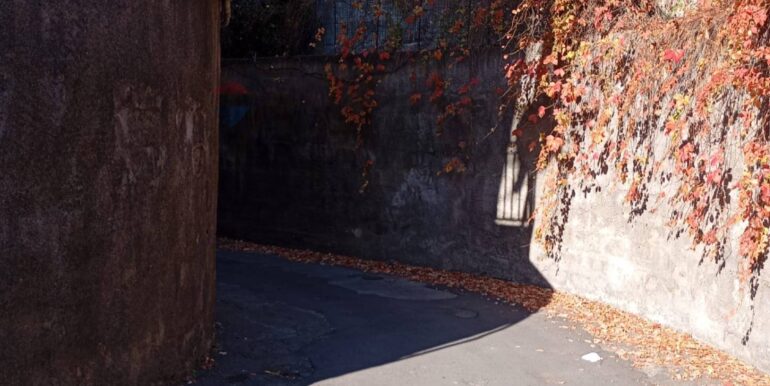 20260111100415-1013446-3