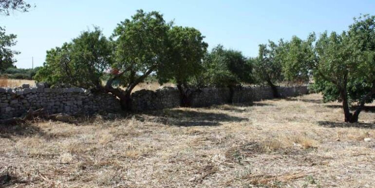 20260111211516-1015996-8