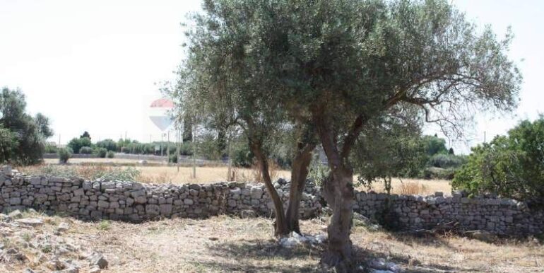 20260111211520-1015996-10