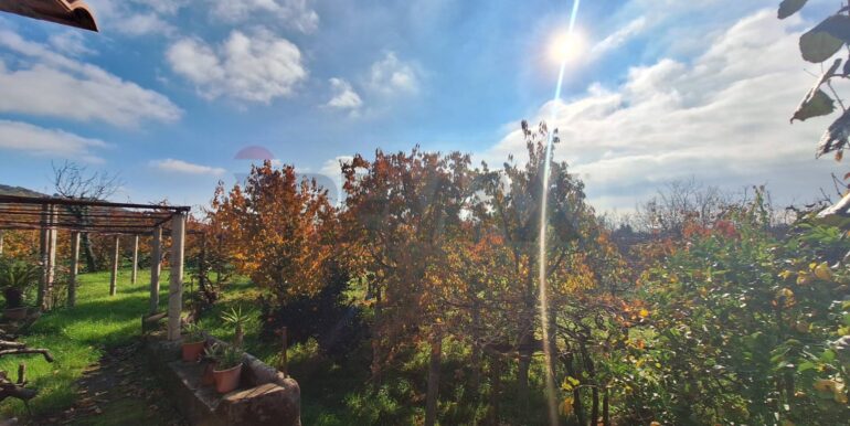 20260112120753-1010635-5