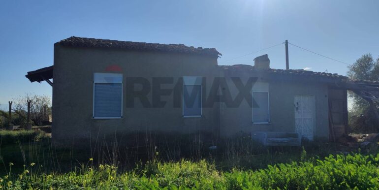 20260112123137-1016133-1