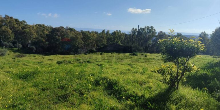 20260112123144-1016133-3