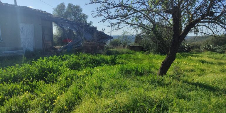 20260112123149-1016133-4