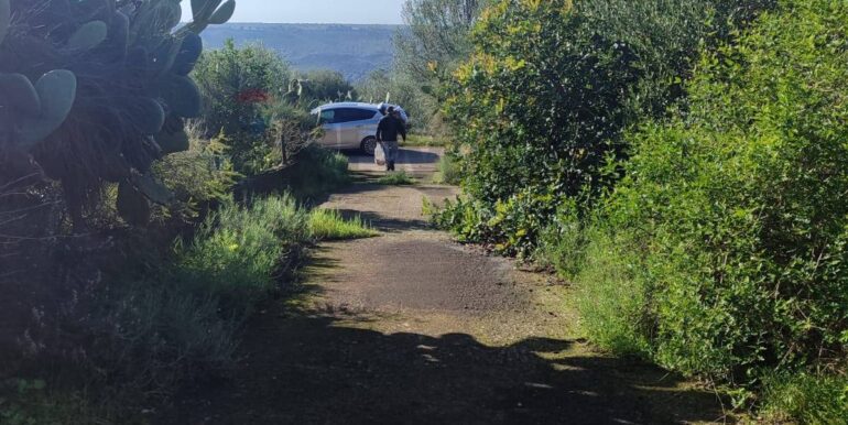 20260112123200-1016133-6