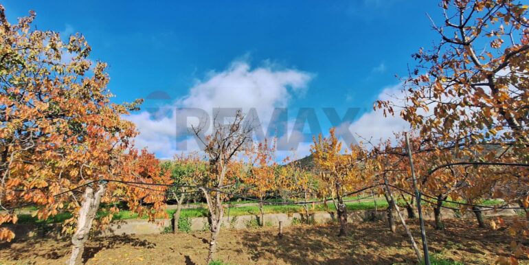 20260112132319-1016158-3