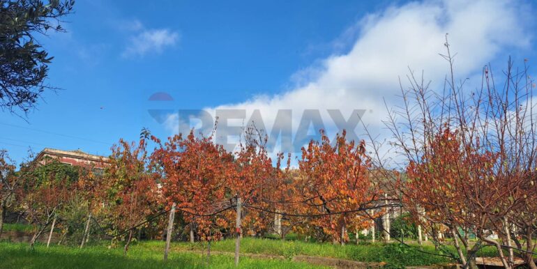 20260112132329-1016158-4