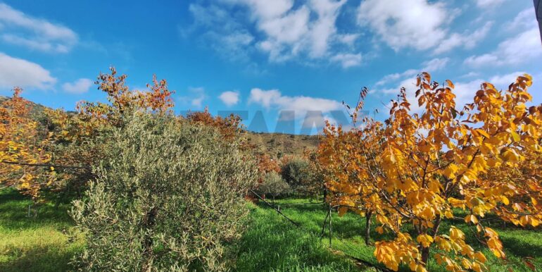 20260112133434-1016170-3