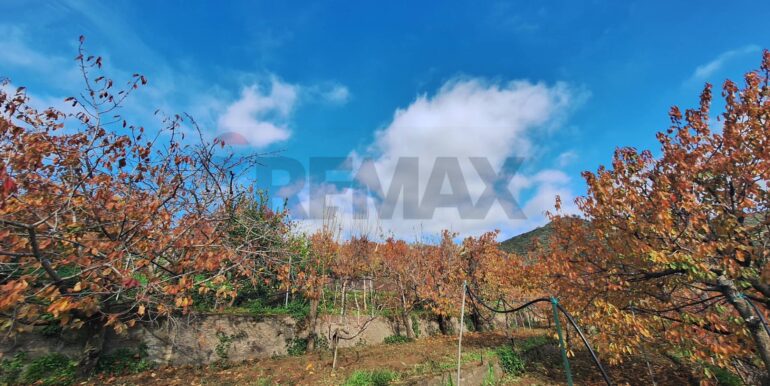 20260112140348-1016170-10