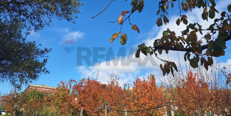 20260112140410-1016170-11