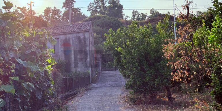 20260112183549-1016277-5