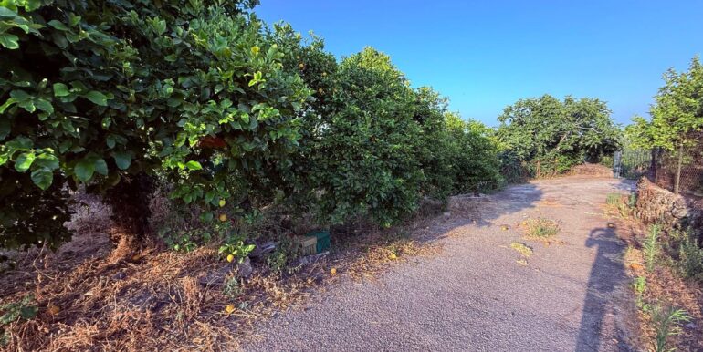 20260112183549-1016277-6