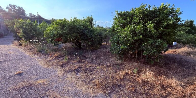 20260112183550-1016277-7