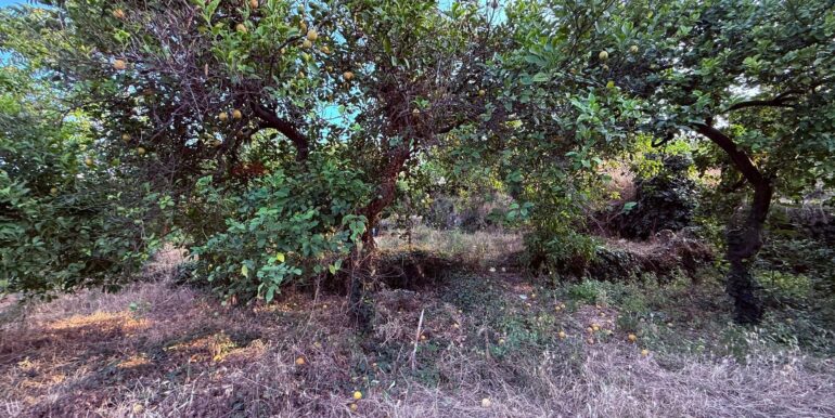 20260112183550-1016277-8