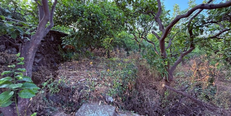 20260112183551-1016277-10