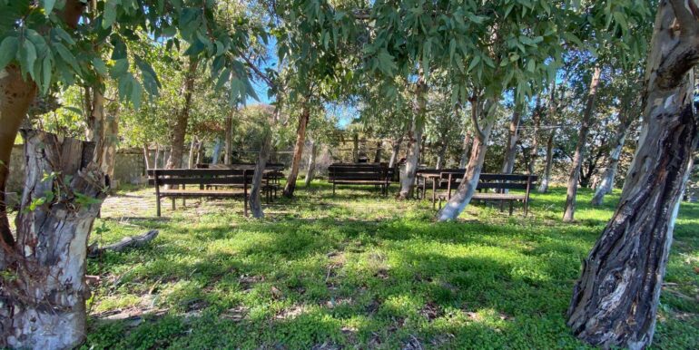 20260113142119-993934-13