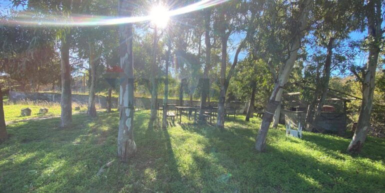 20260113142134-993934-18