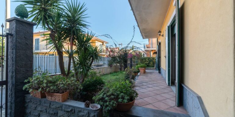 2026011391239-1012471-6