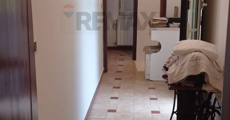 2026011395136-1016376-6