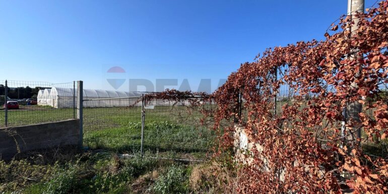 20260114122948-1017135-5