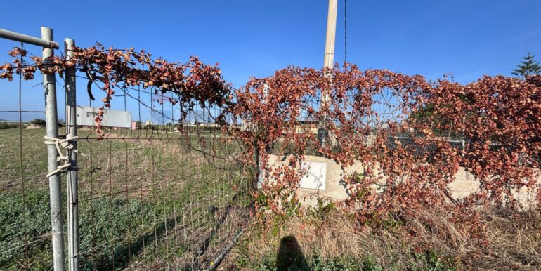 20260114122949-1017135-7