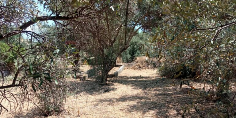 20260114152026-1017190-1