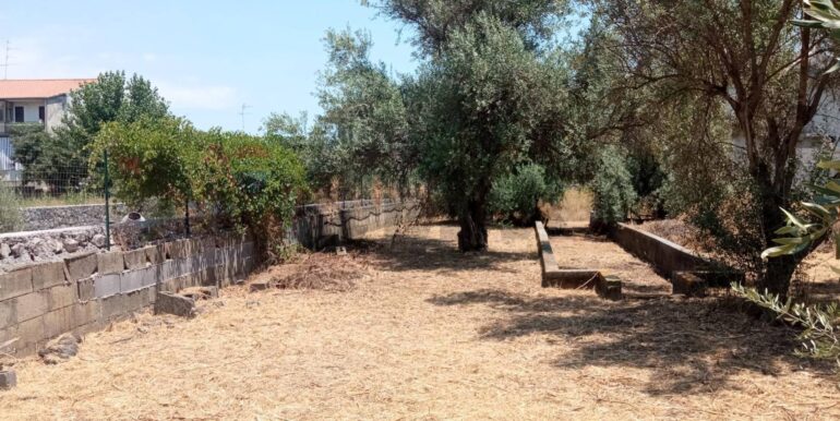 20260114152026-1017190-2