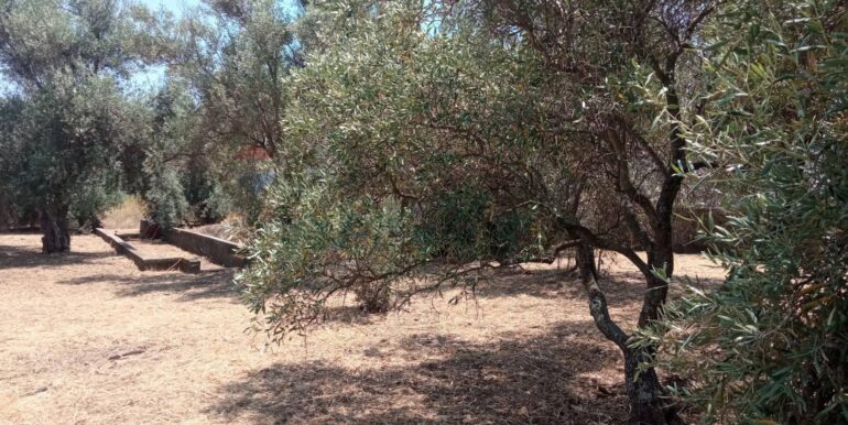 20260114152028-1017190-5