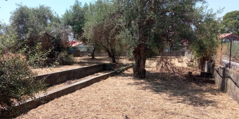 20260114152028-1017190-7