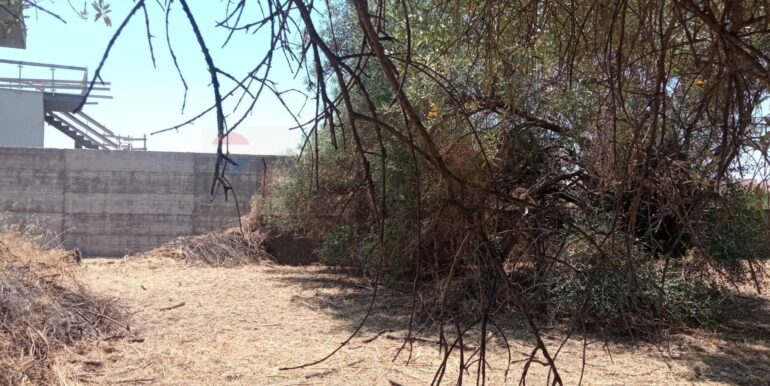 20260114152029-1017190-9