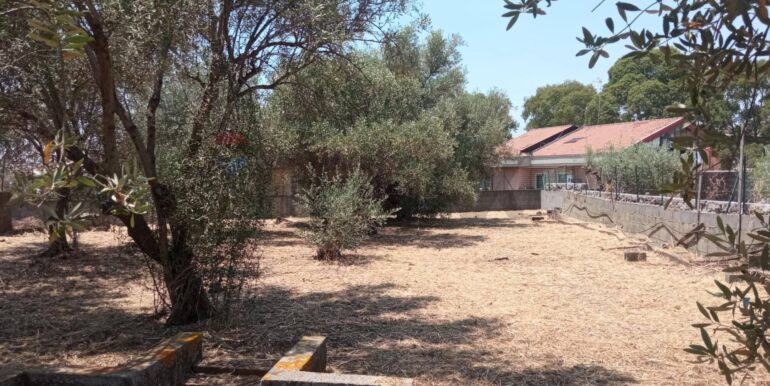 20260114152030-1017190-11